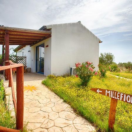 奧爾比亞Agriturismo Mieleamaro别墅 外观 照片