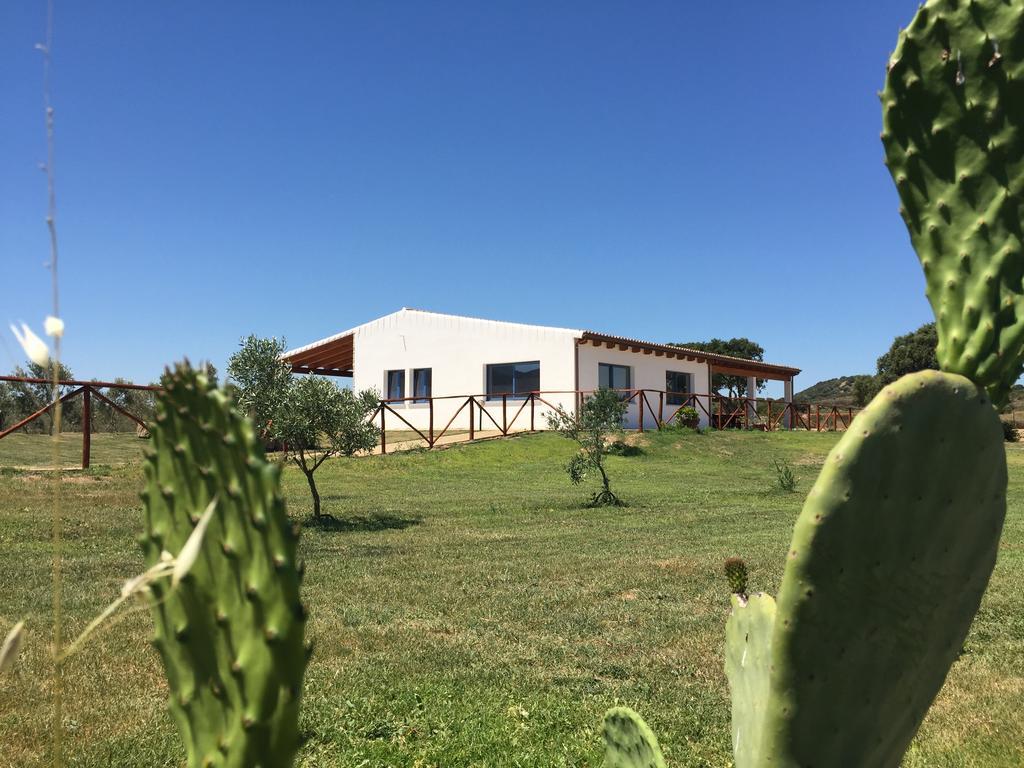 奧爾比亞Agriturismo Mieleamaro别墅 外观 照片