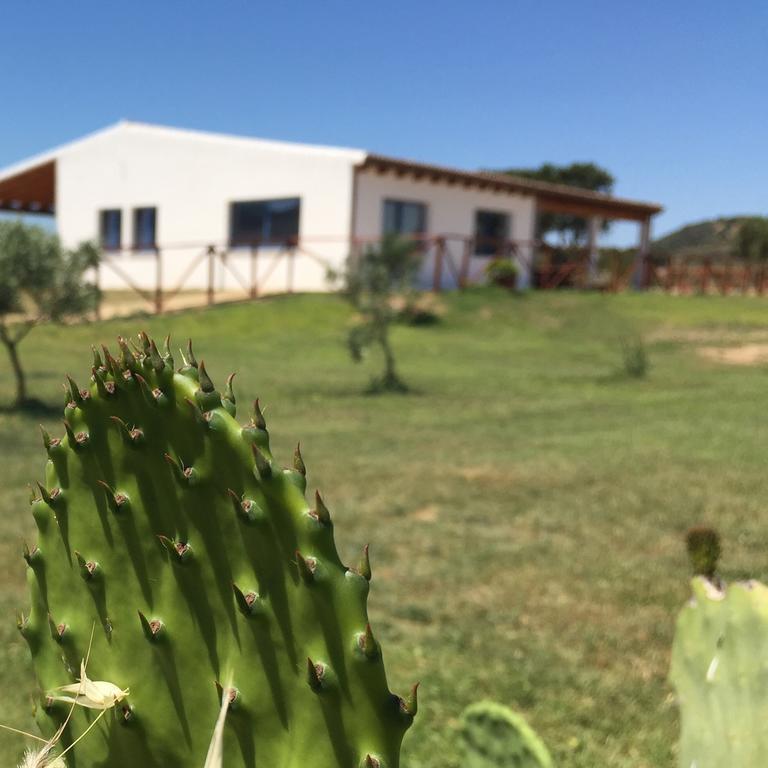奧爾比亞Agriturismo Mieleamaro别墅 外观 照片