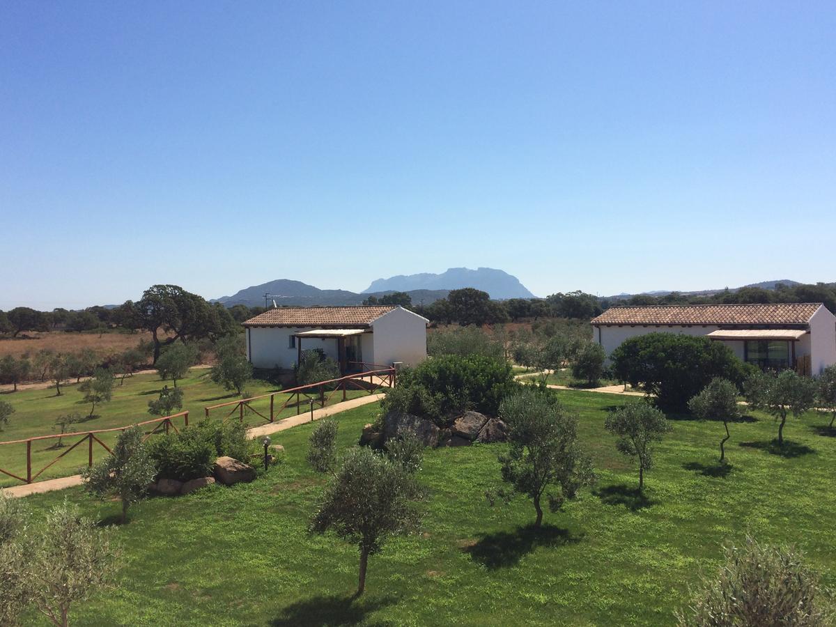 奧爾比亞Agriturismo Mieleamaro别墅 外观 照片