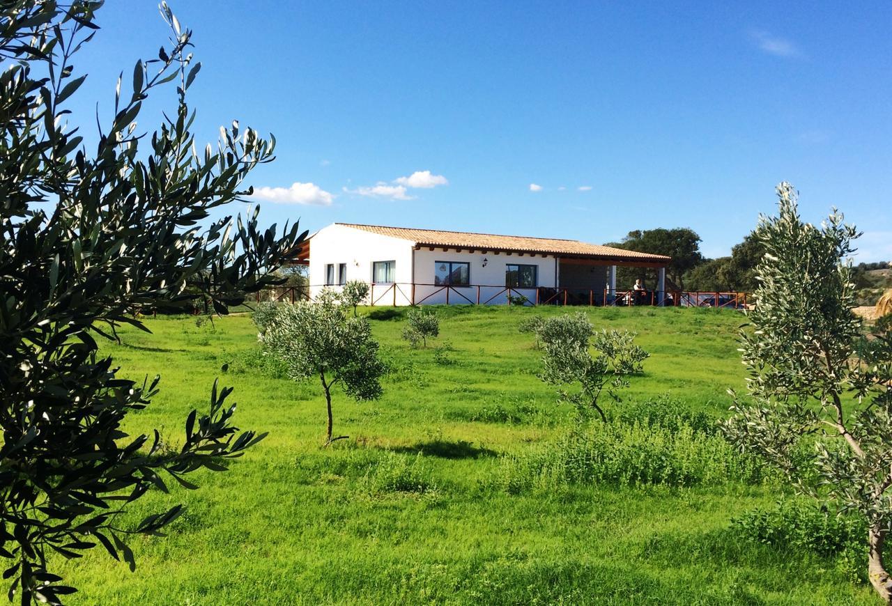 奧爾比亞Agriturismo Mieleamaro别墅 外观 照片