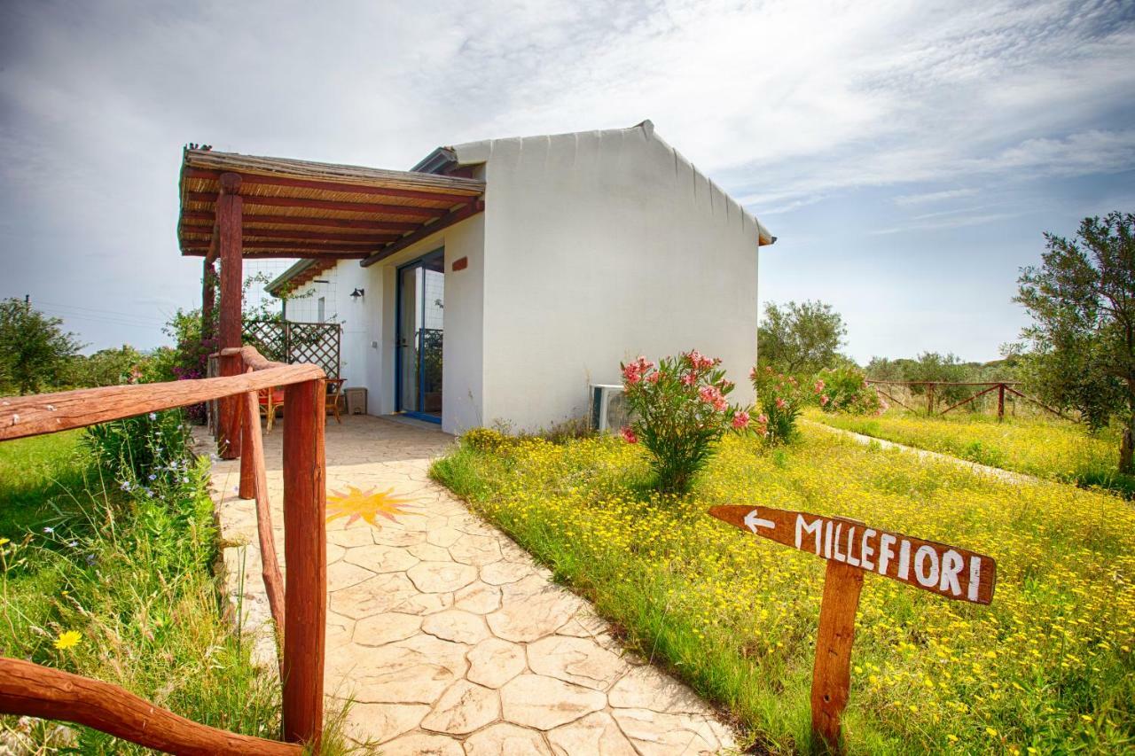 奧爾比亞Agriturismo Mieleamaro别墅 外观 照片