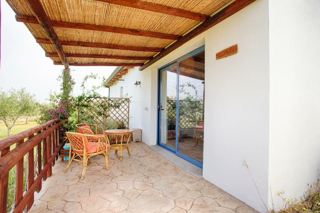 奧爾比亞Agriturismo Mieleamaro别墅 外观 照片