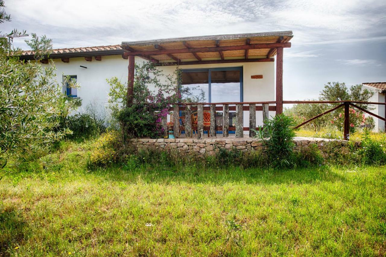 奧爾比亞Agriturismo Mieleamaro别墅 外观 照片