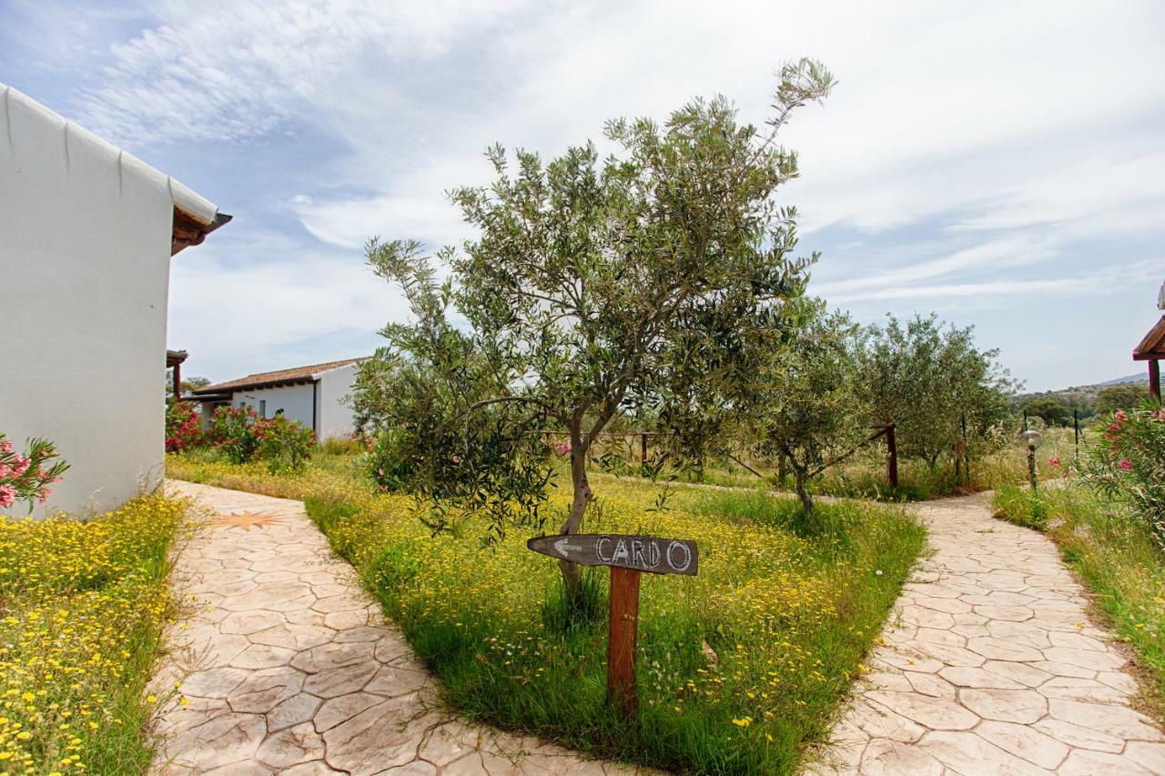 奧爾比亞Agriturismo Mieleamaro别墅 外观 照片
